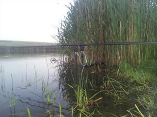 my hobby 